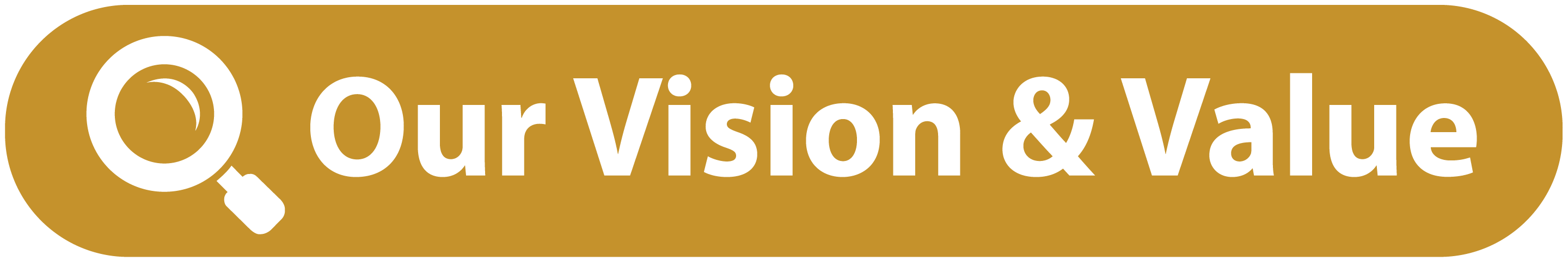 Our Vision and Value